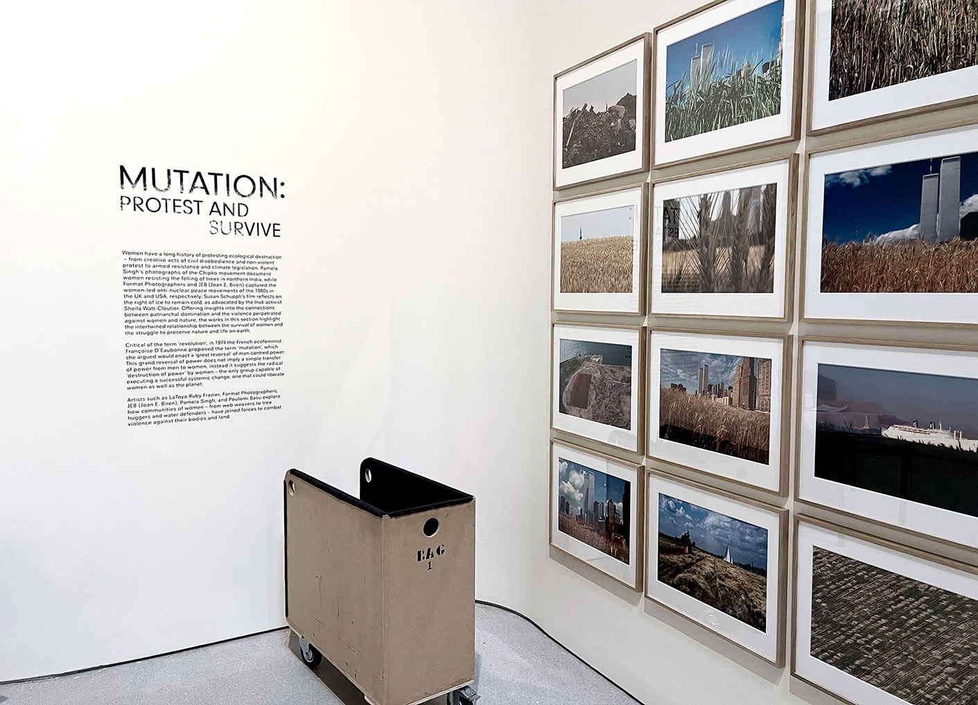 Final painted exhibition titles and markers combined with vinyl text installation